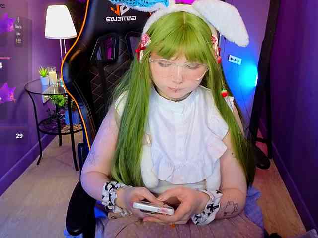 usagi-sasagi webcam