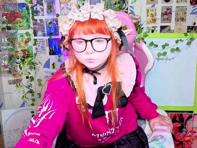 usagi-sasagi webcam
