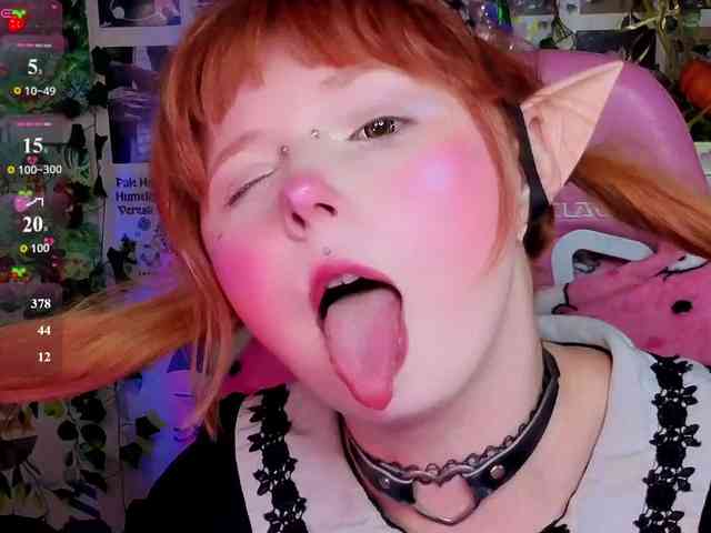 usagi-sasagi webcam