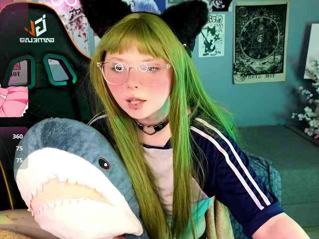 usagi-sasagi webcam