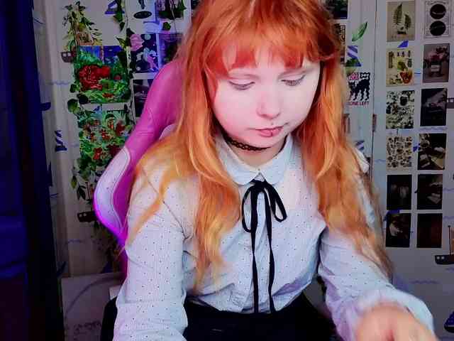 usagi-sasagi webcam