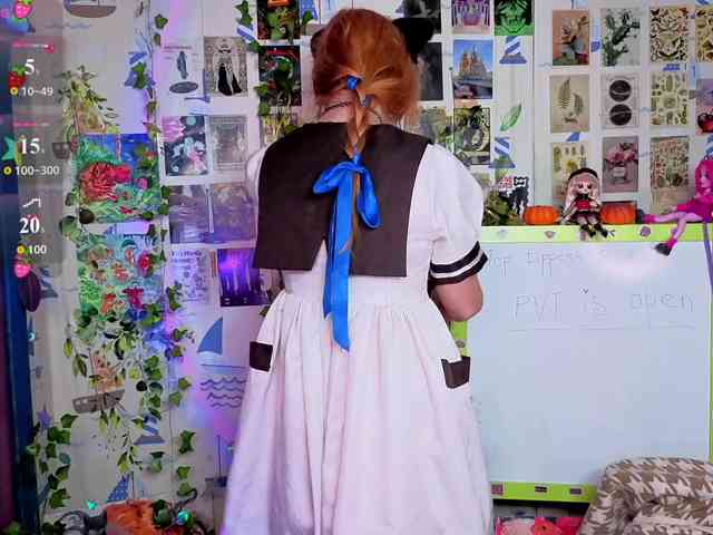 usagi-sasagi webcam