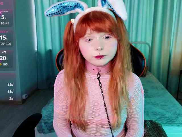 usagi-sasagi webcam