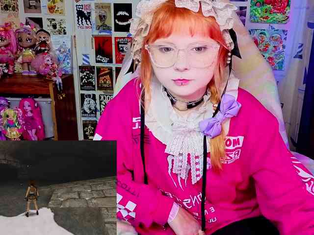 usagi-sasagi webcam