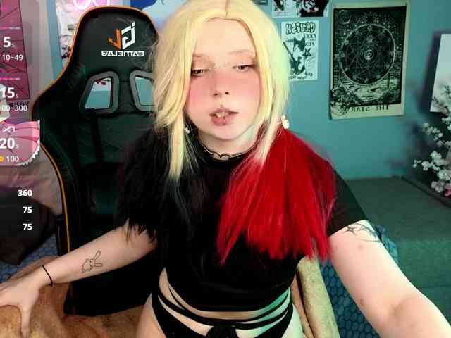 usagi-sasagi webcam