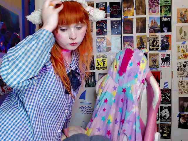 usagi-sasagi webcam