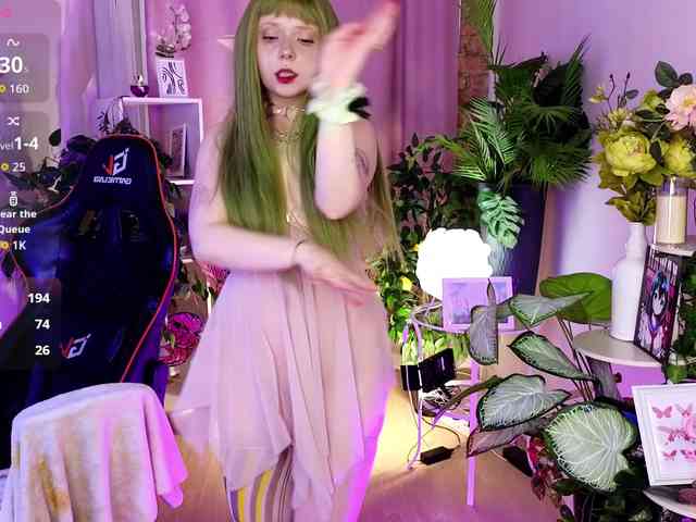 usagi-sasagi webcam