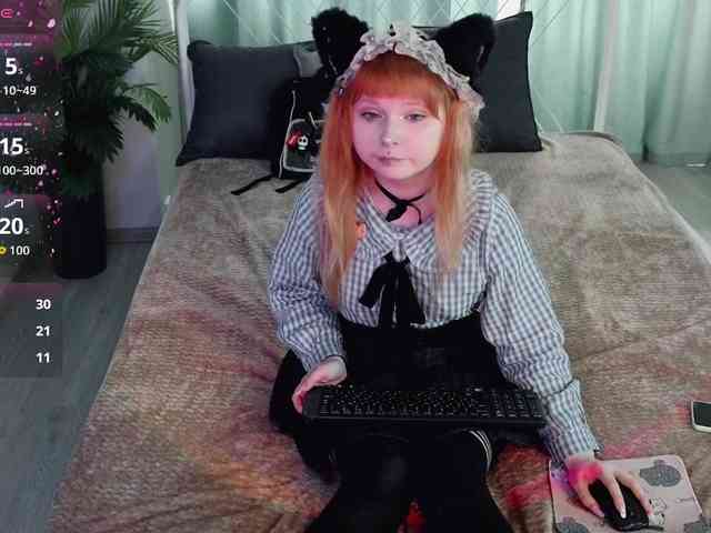 usagi-sasagi webcam