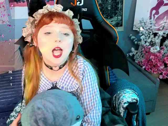 usagi-sasagi webcam