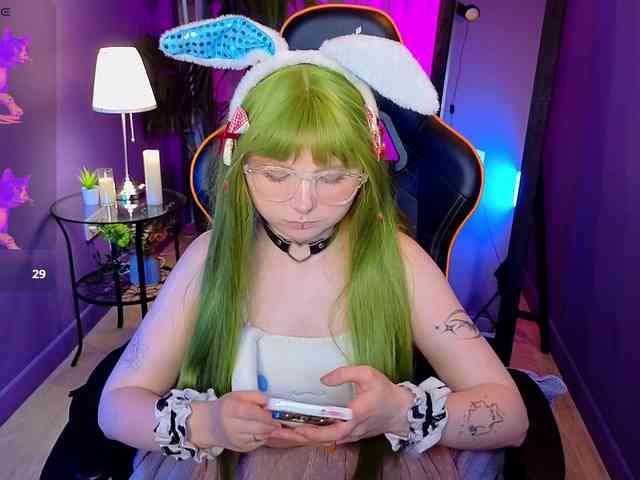usagi-sasagi webcam
