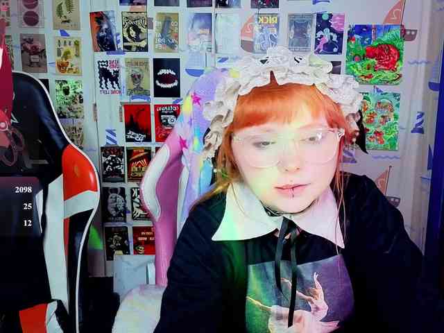 usagi-sasagi webcam