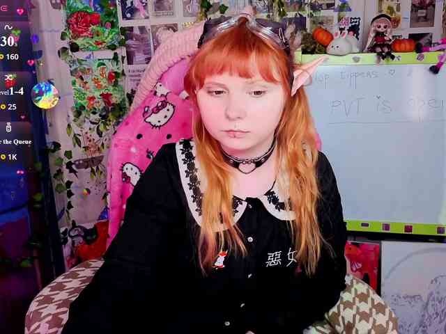 usagi-sasagi webcam
