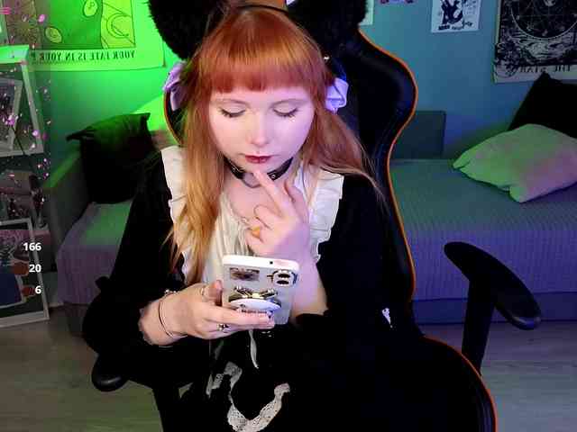 usagi-sasagi webcam