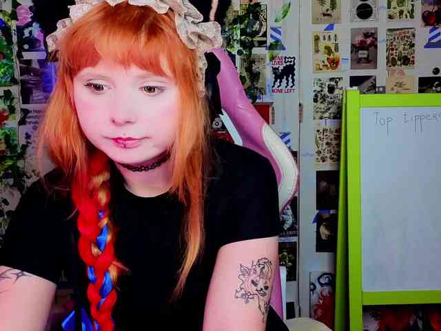 usagi-sasagi webcam