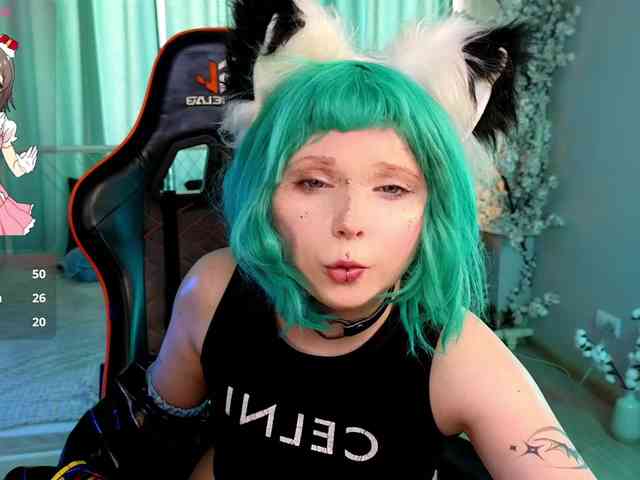 usagi-sasagi webcam