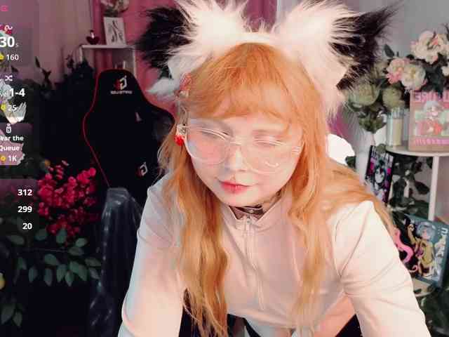 usagi-sasagi webcam