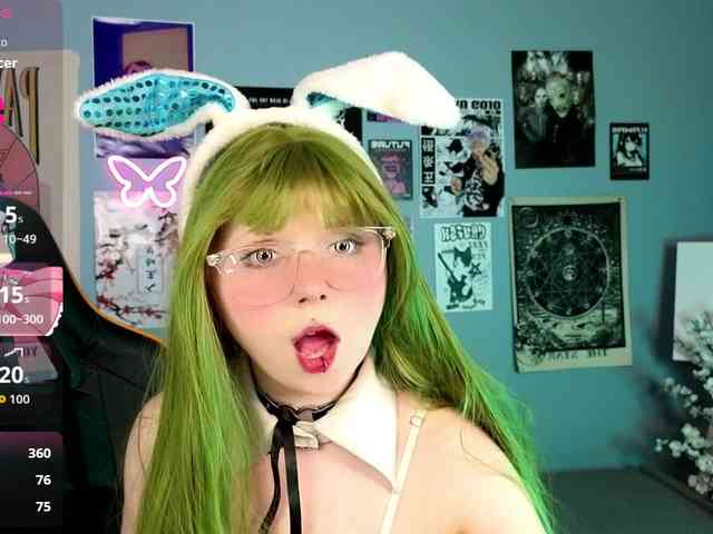 usagi-sasagi webcam