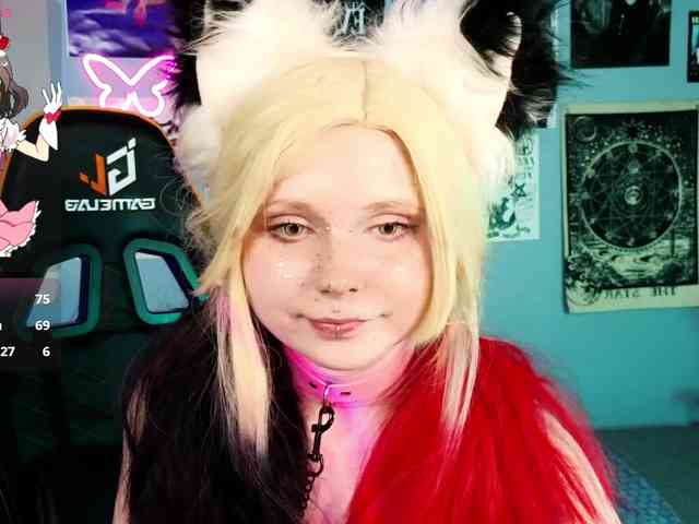 usagi-sasagi webcam