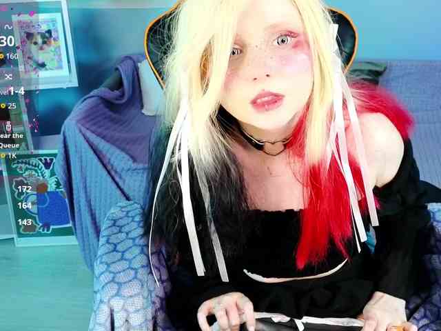 usagi-sasagi webcam