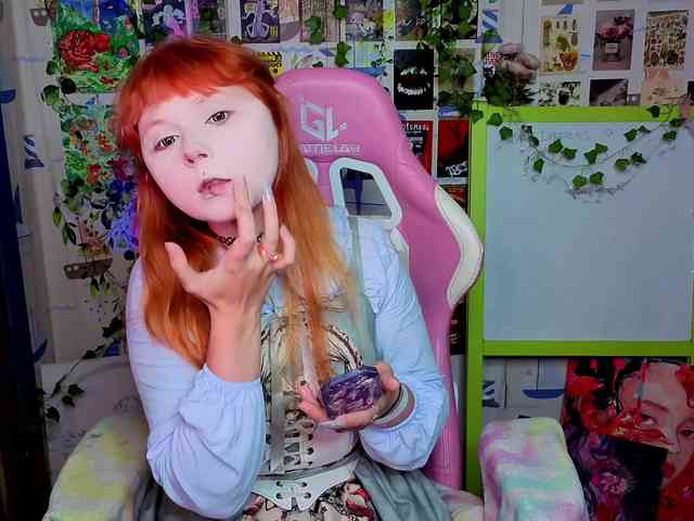 usagi-sasagi webcam