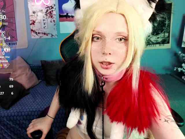 usagi-sasagi webcam