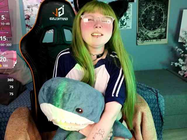 usagi-sasagi webcam