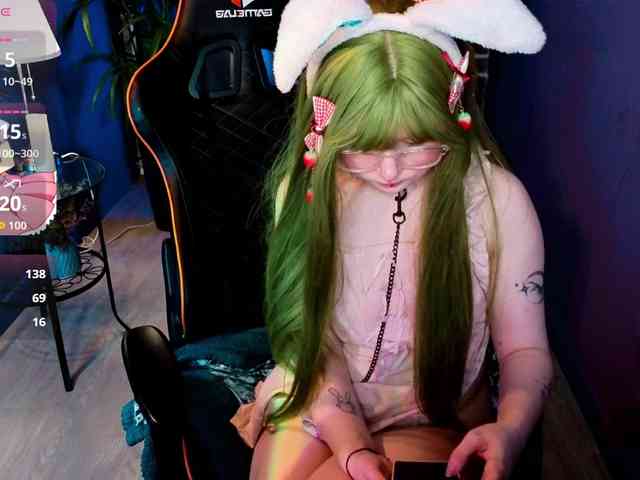 usagi-sasagi webcam