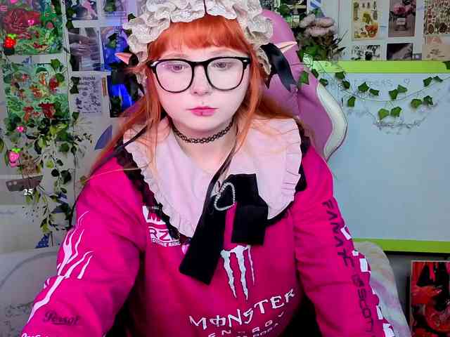 usagi-sasagi webcam