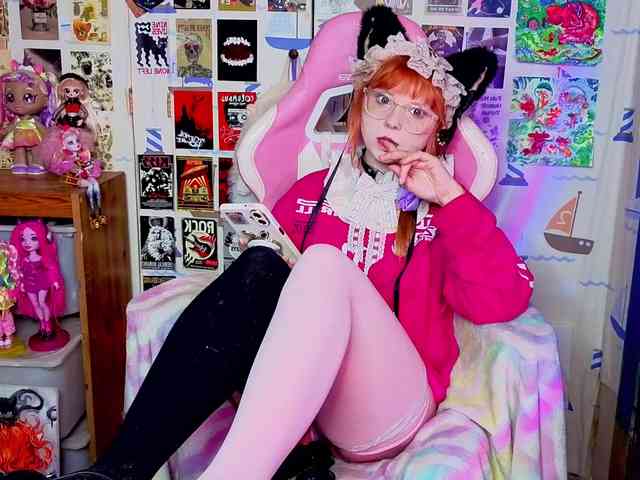 usagi-sasagi webcam
