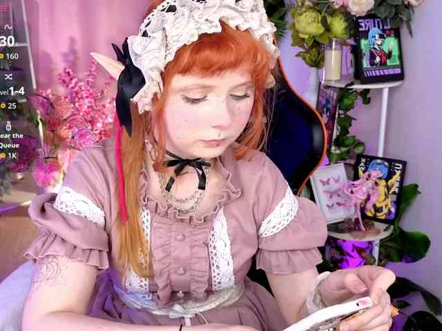 usagi-sasagi webcam