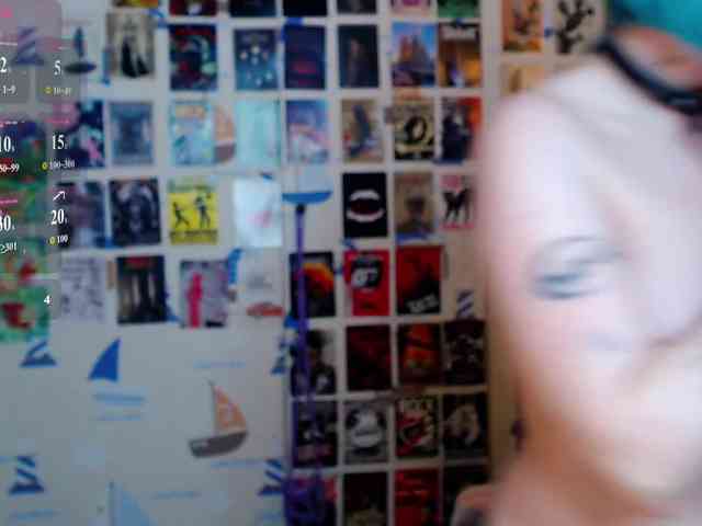usagi-sasagi webcam