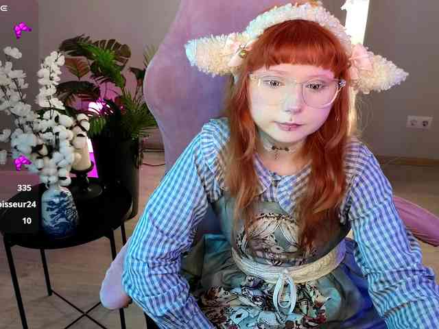 usagi-sasagi webcam