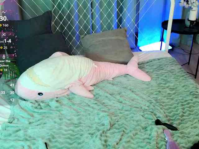 usagi-sasagi webcam