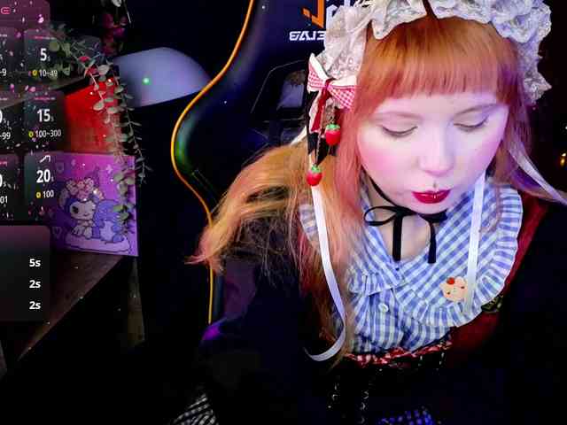 usagi-sasagi webcam