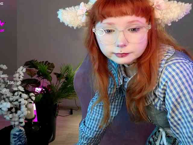 usagi-sasagi webcam