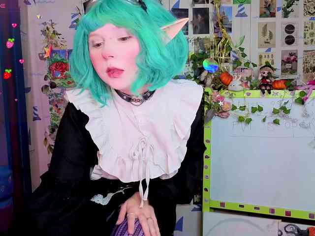 usagi-sasagi webcam