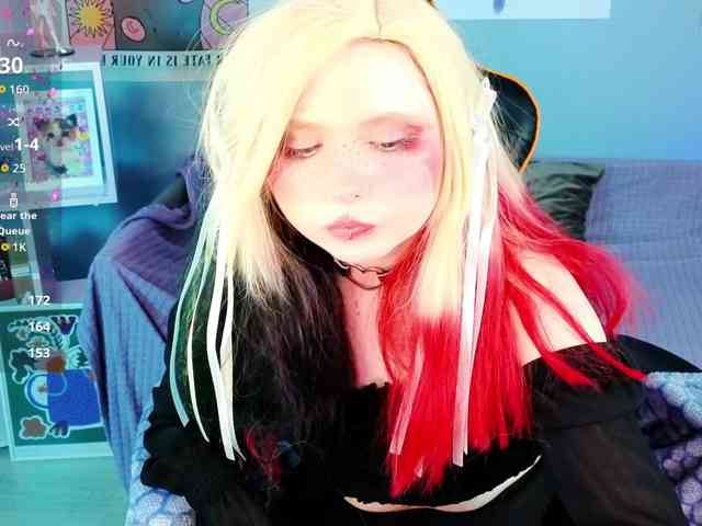 usagi-sasagi webcam