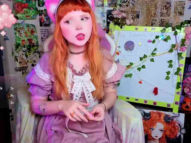 usagi-sasagi webcam