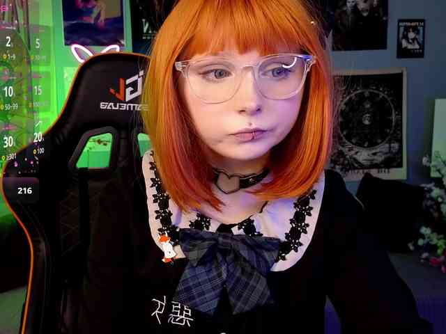 usagi-sasagi webcam