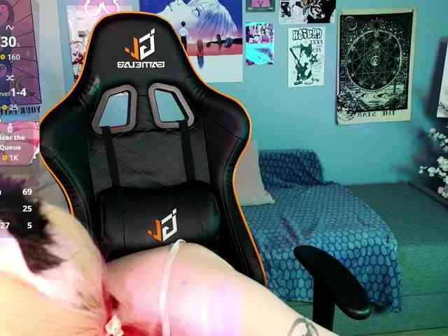 usagi-sasagi webcam