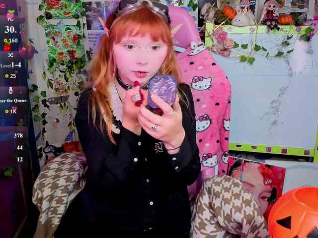 usagi-sasagi webcam