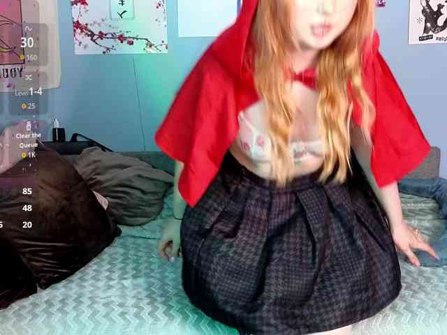 usagi-sasagi webcam