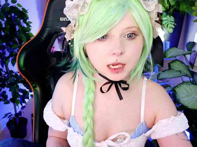 usagi-sasagi webcam