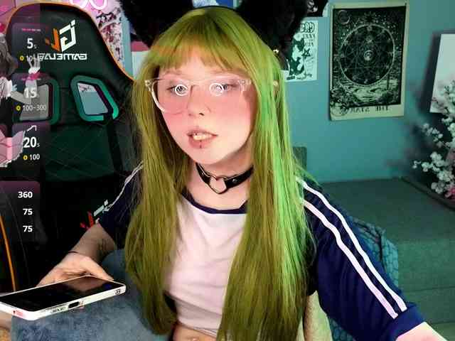 usagi-sasagi webcam