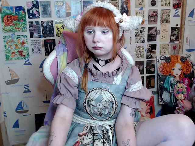 usagi-sasagi webcam
