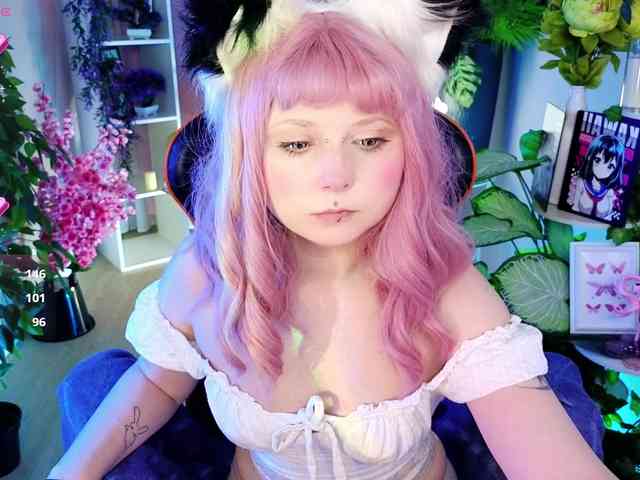 usagi-sasagi webcam