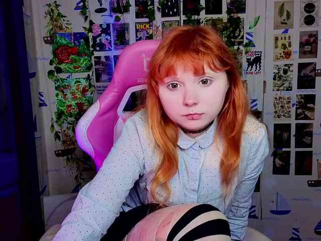 usagi-sasagi webcam