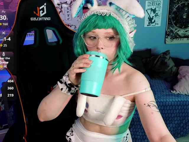 usagi-sasagi webcam