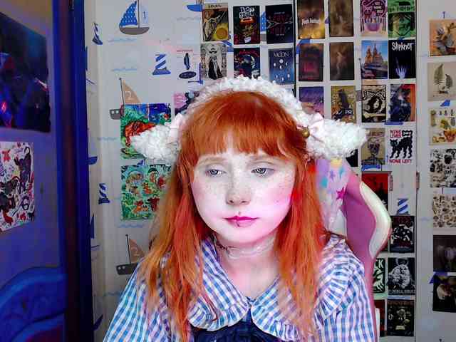 usagi-sasagi webcam