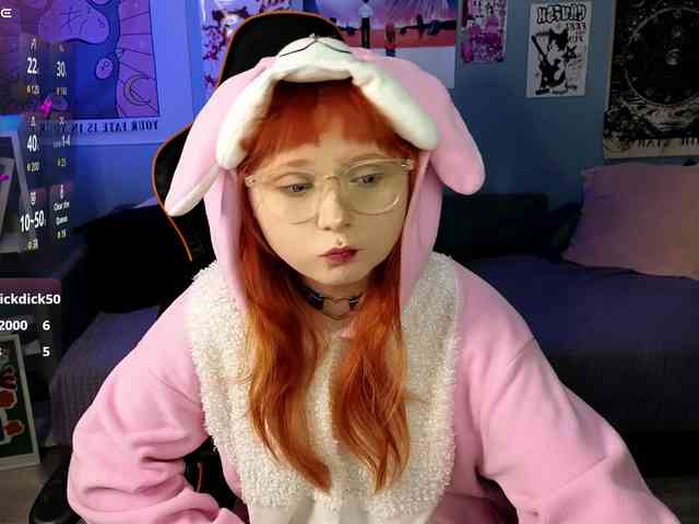 usagi-sasagi webcam